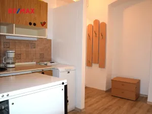Pronájem bytu 1+kk, Plzeň, Rubešova, 19 m2