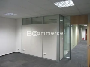 Pronájem skladu, Brno, Vídeňská, 1400 m2