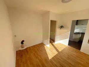 Pronájem bytu 1+kk, Praha - Modřany, Rodopská, 30 m2