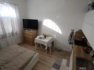 Pronájem bytu 1+kk, Břeclav, Na Valtické, 20 m2