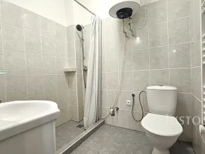 Prodej rodinného domu, Písek - Budějovické Předměstí, Denisova, 160 m2