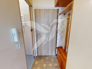 Pronájem bytu 1+kk, Plzeň, Skupova, 20 m2