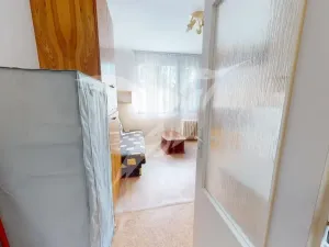 Pronájem bytu 1+kk, Plzeň, Skupova, 20 m2