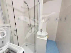 Pronájem bytu 1+kk, Plzeň, Skupova, 20 m2
