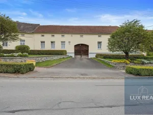 Prodej zemědělské usedlosti, Petrůvky, 2953 m2