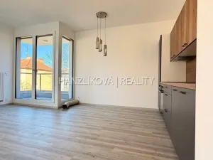 Pronájem bytu 2+kk, České Budějovice - České Budějovice 3, Hálkova, 49 m2