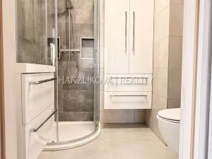 Pronájem bytu 2+kk, České Budějovice - České Budějovice 3, Hálkova, 49 m2