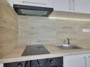 Pronájem bytu 1+kk, Ostrava - Moravská Ostrava, Sládkova, 29 m2