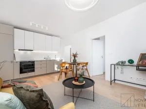 Prodej bytu 3+kk, Praha - Žižkov, Pod lipami, 54 m2