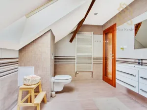 Prodej rodinného domu, Velemín - Dobkovičky, 240 m2