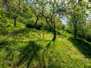 Pronájem bytu 3+1, Uherské Hradiště, U Cihelny, 63 m2