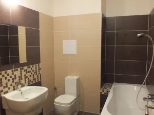 Prodej bytu 1+kk, Vyškov - Vyškov-Předměstí, Smetanovo nábřeží, 51 m2