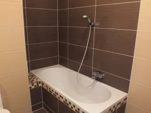 Prodej bytu 1+kk, Vyškov - Vyškov-Předměstí, Smetanovo nábřeží, 51 m2