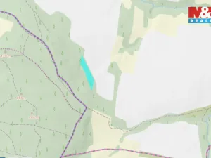 Prodej lesa, Kravaře, 4458 m2