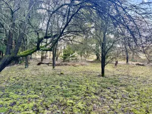 Prodej chalupy, Golčův Jeníkov - Kobylí Hlava, 150 m2