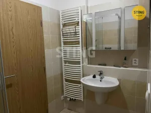 Pronájem bytu 1+kk, Ostrava, Michálkovická, 35 m2