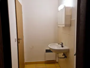 Pronájem skladu, Plzeň, Havlíčkova, 54 m2