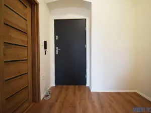 Pronájem bytu 2+kk, Ústí nad Labem - Krásné Březno, Drážďanská, 52 m2