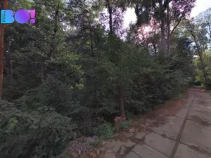 Prodej pole, Prostějov, 29929 m2