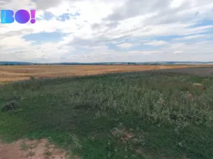 Prodej pole, Senice na Hané, 7577 m2