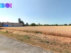 Prodej pole, Senice na Hané, 7577 m2