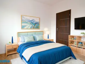 Pronájem bytu 3+1, Valašské Meziříčí - Krásno nad Bečvou, Na Šištotě, 64 m2