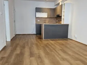 Pronájem bytu 2+kk, Praha, Kryšpínova, 59 m2