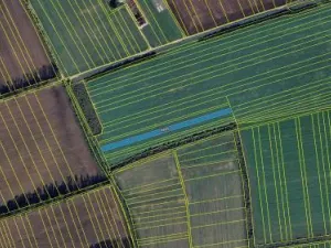 Prodej pole, Bánov, 4681 m2