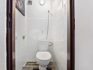 Prodej komerční nemovitosti, Česká Skalice - Spyta, 392 m2