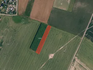 Prodej pole, Moravské Budějovice, 8730 m2