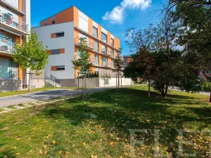 Pronájem bytu 1+kk, Praha - Žižkov, Olgy Havlové, 27 m2