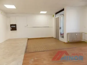Pronájem obchodního prostoru, Slaný, Vikova, 101 m2