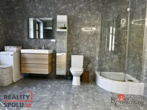 Prodej rodinného domu, Lučany nad Nisou, 250 m2