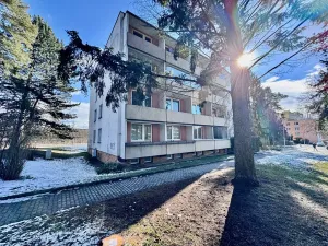 Prodej bytu 2+1, Brno, Záhřebská, 50 m2