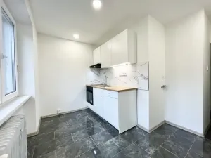 Pronájem bytu 2+1, Ústí nad Labem - Ústí nad Labem-centrum, Důlce, 54 m2