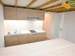 Pronájem bytu 1+kk, Ostrava, Palackého, 26 m2