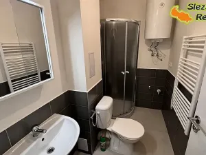 Pronájem bytu 1+kk, Ostrava, Palackého, 26 m2