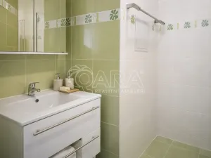 Pronájem bytu 2+kk, Praha - Nové Město, Na slupi, 50 m2