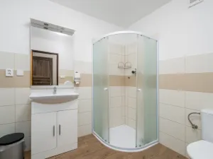 Prodej rodinného domu, Nový Bor - Janov, 200 m2