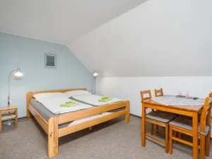 Prodej rodinného domu, Nový Bor - Janov, 280 m2