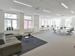 Pronájem kanceláře, Praha, Revoluční, 1046 m2