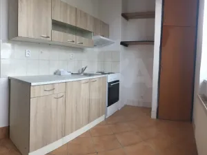 Pronájem bytu 1+1, Nové Mitrovice, 37 m2