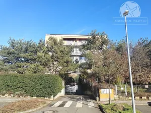 Pronájem bytu 1+kk, Praha - Hloubětín, Nepelova, 29 m2