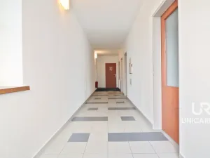 Pronájem obchodního prostoru, Moravany, Modřická, 167 m2