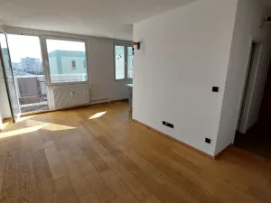 Pronájem bytu 1+1, Most, Josefa Suka, 40 m2