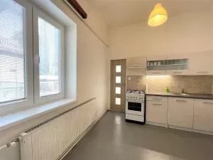 Pronájem bytu 2+1, Brno - Staré Brno, Pekařská, 70 m2