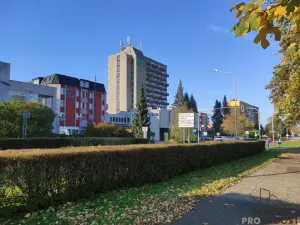 Pronájem bytu 1+kk, Kopřivnice, Záhumenní, 20 m2