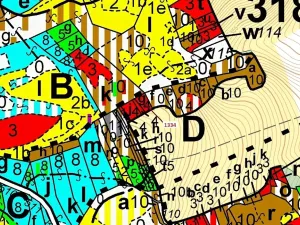 Dražba lesa, Spešov, 420 m2