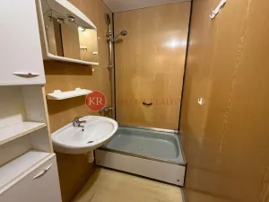Prodej bytu 2+kk, České Budějovice, K. Štěcha, 48 m2