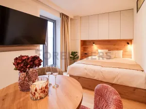 Pronájem bytu 1+kk, Brno, Cyrilská, 35 m2